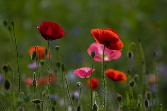 适合男人的个性微信名(精选755个)