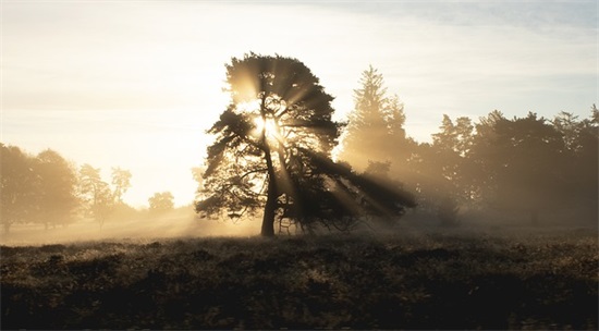 六个字古风韵味的网名