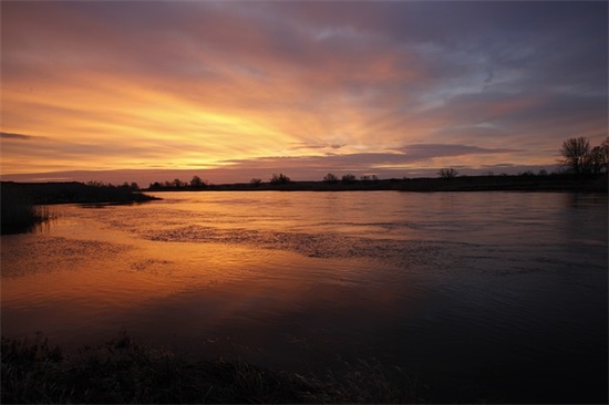 王者荣耀女生网名