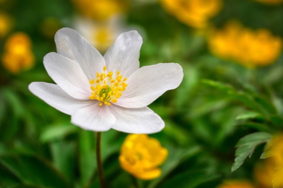 低调内敛的微信名字(730个)