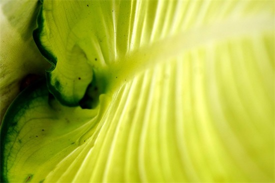 女生网名三个字高冷