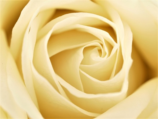 2025关于最新生日祝福语简短精辟