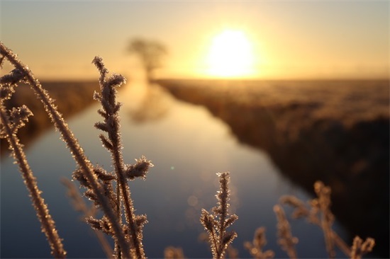 清明的简短祝福语