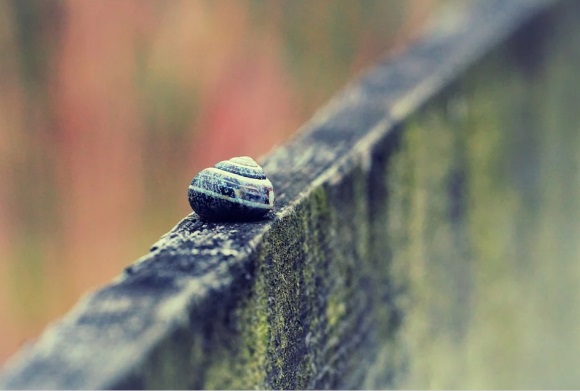 吉祥发财好运的微信名(精选729个)