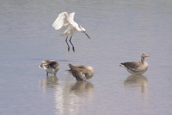 最吉祥富贵的微信名字(共713个)