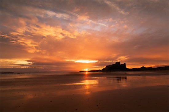 猪年短信祝福语146句