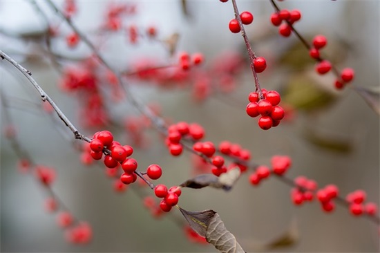 美容院店铺名字精选760个