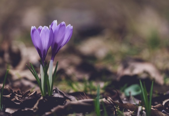 最有气质的女孩微信名(共736个)