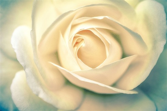 饮食店起什么名字好780个