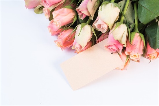 2025年最火的花店名800个