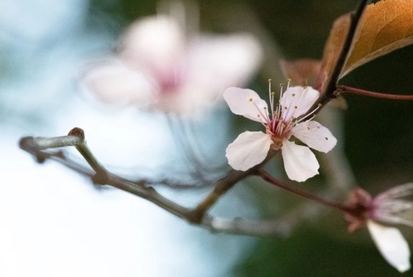 四个字的最好听的微信昵称(优选738个)