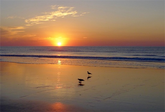 最潮好记男装店名字720个