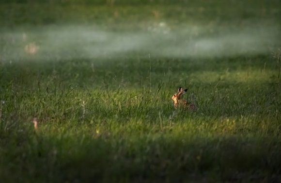 四个字好听的微信昵称大全(738个)