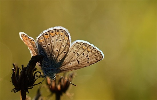 串串店名字大全洋气有创意 过目不忘的串串店名字