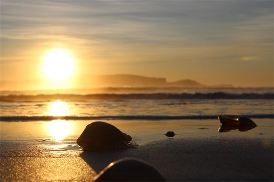 便利店取名字寓意好带财气690个