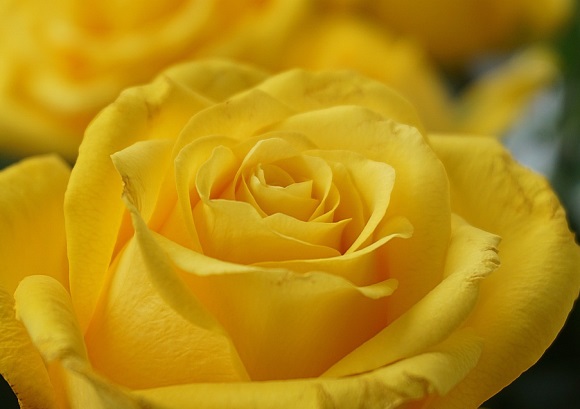 四个字独特的微信名字(优选738个)