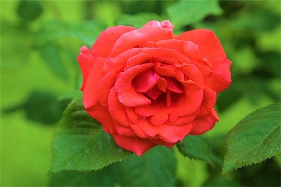 新颖的网红零食店名字精选680个