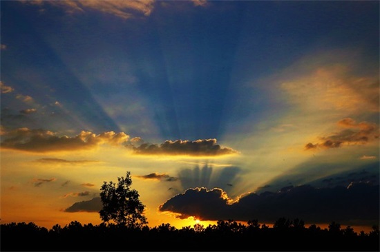 好记又顺口的水果店名字680个