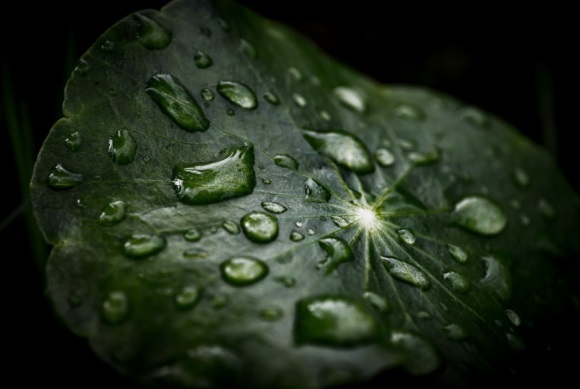 又火又好运的微信网名(共716个)