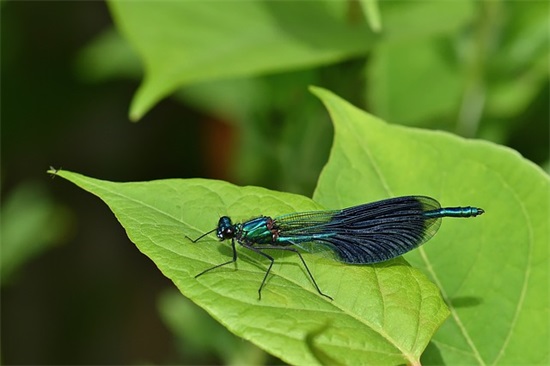 百货店铺起名650个