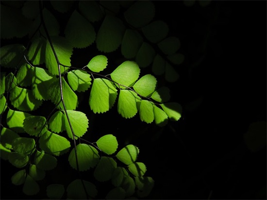 独一无二的餐馆名字710个