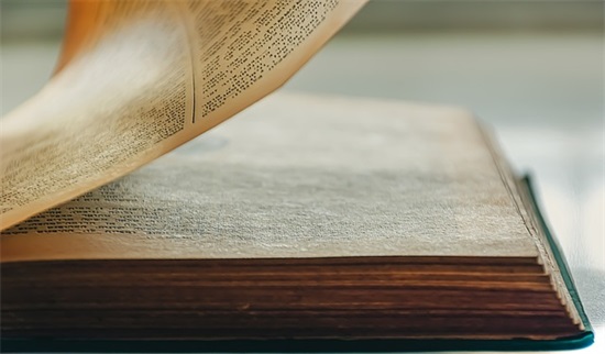 洋气文艺小清新花店名650个