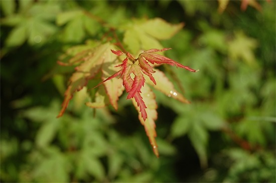 有创意的理发店名字600个