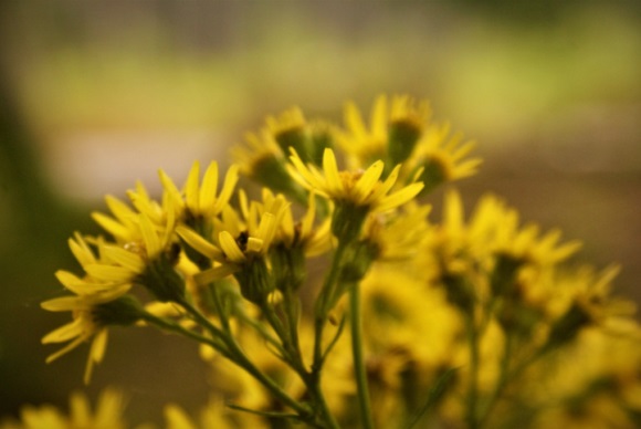 2023招财转运微信昵称(优选714个)