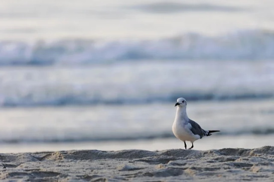 店铺取名大全免费 最新版的店名好听又好记