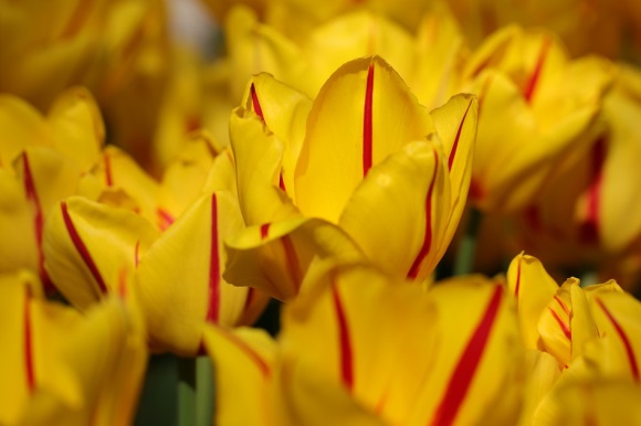 伤心难过的微信昵称(共621个)