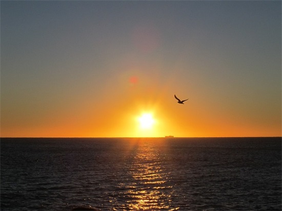 女装店名字简洁大气创意580个