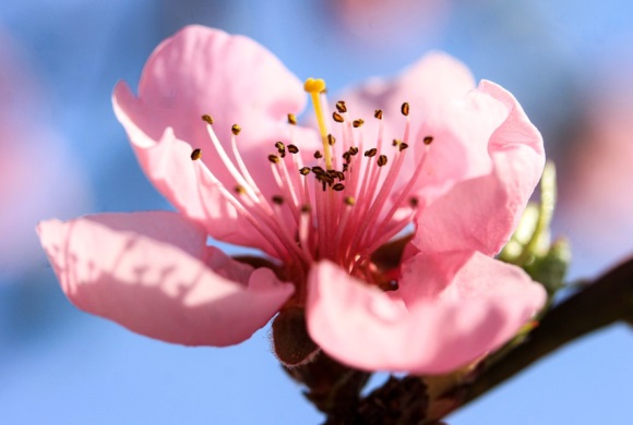 很文艺范的微信昵称(优选671个)