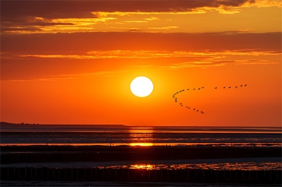 水果店名称大全，新开水果店取名