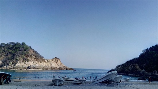 旺生意的水果店名字530个