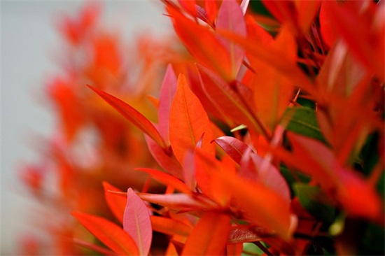 店铺名字大全免费查询吉凶 店名测试大全免费