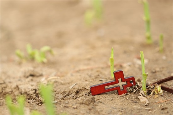 包包店铺名字大全530个