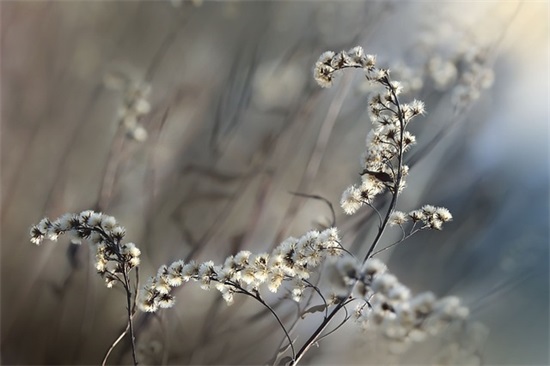 独具创意的食品店名字530个