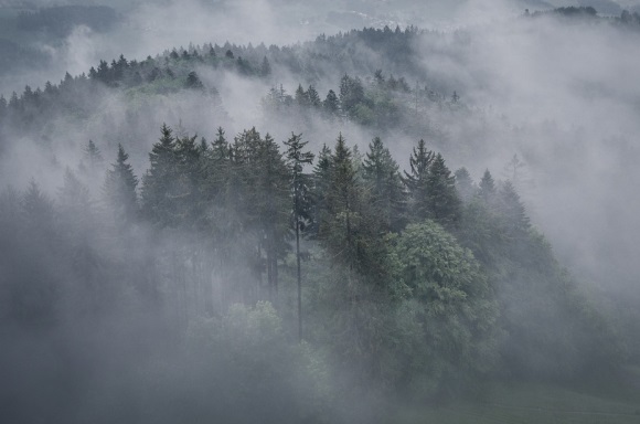 健康好运的微信名字(共654个)