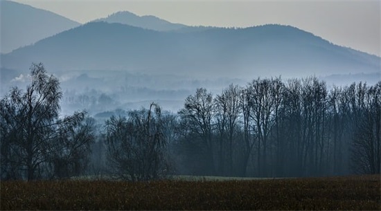 100个好听到爆的饭店名字