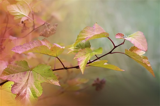 饭店名字简单大气 店名取名大全免费