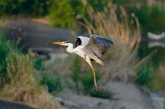 能吸引年轻人的店铺 大气带有高级感的店名