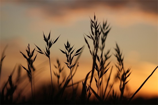 取一个独特的早餐店名480个