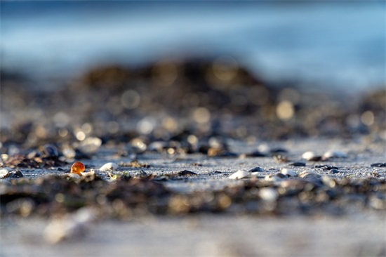 花店名字取名大全时尚大气530个