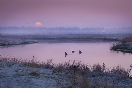 大气好记的家具店名字500个
