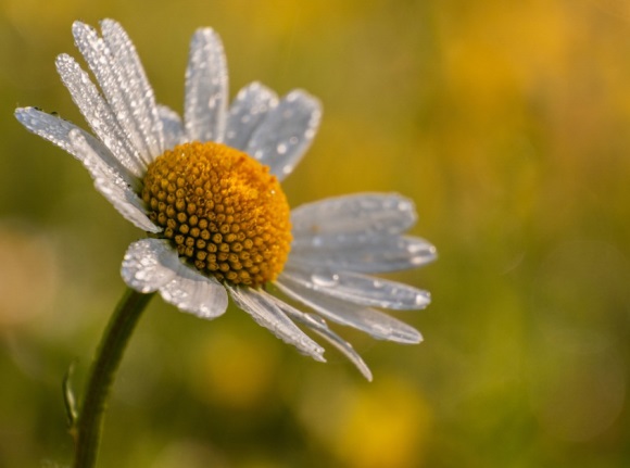 独特很有内涵的微信网名(共640个)