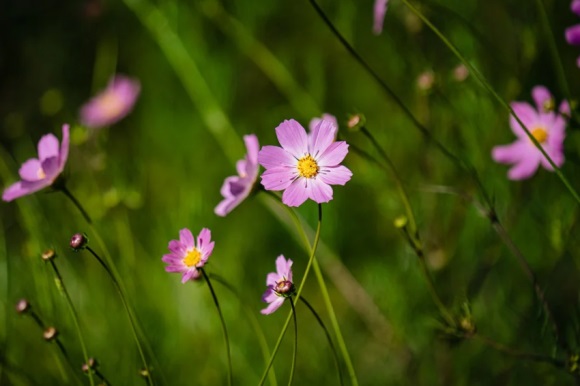 简单大气的微信昵称(精选761个)