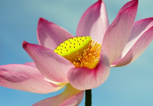 2023四个字男士微信昵称(优选641个)