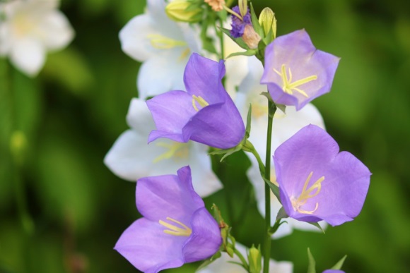 有内涵的女微信昵称(精选626个)