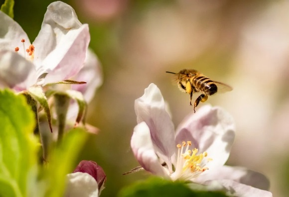 比较有亲切感的微信名(620个)