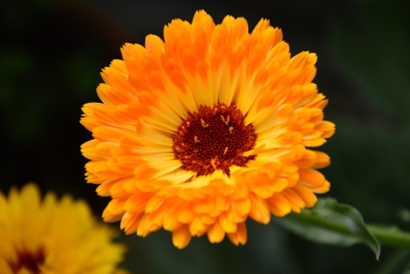 大气有内涵的微信名字(共595个)